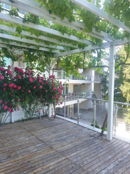 Studio Silver Terace With Sea View For 4 Person Бяла Экстерьер фото